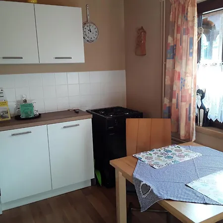 Bianca,S Ferienwohnung Bad Mitterndorf Extérieur photo